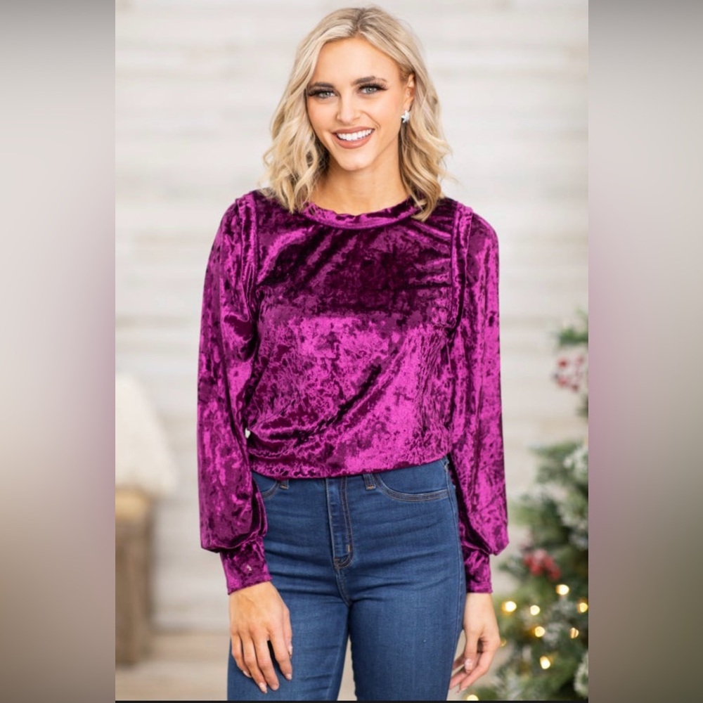 NWOT Bibi Berry Crushed Velvet Balloon Sleeve Top